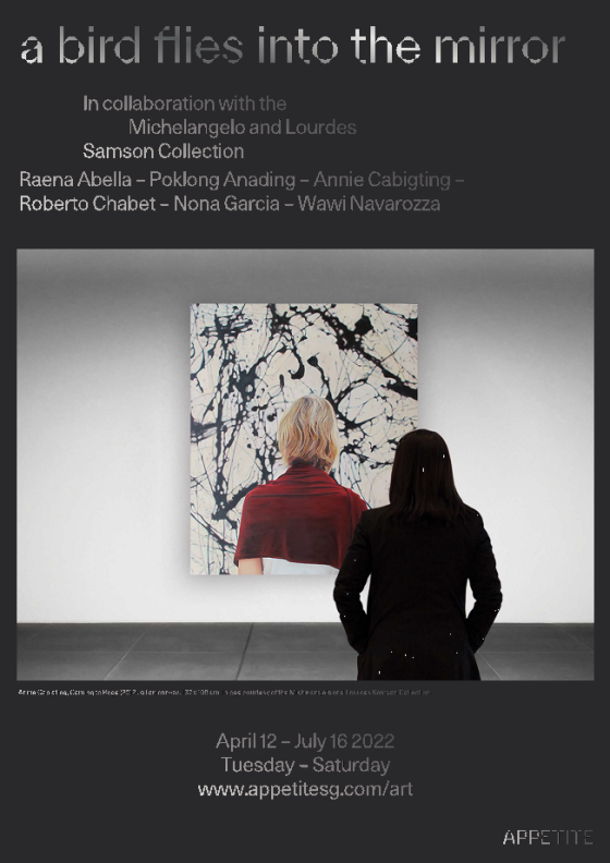 a brid flies into the mirror v2